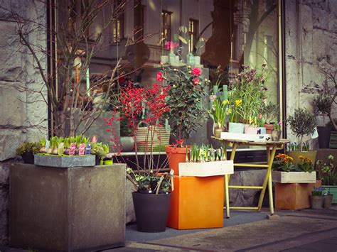 Flowers in the City, The Colorful, Urban Collection .